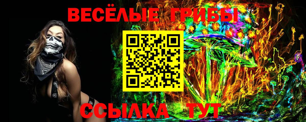 Нововоронеж  купить наркотики сайты  Вход с VPN  Псилоцибиновые грибы мухоморы 